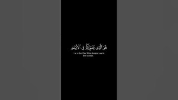 إِنَّ ٱللَّهَ لَا يَخْفَىٰ عَلَيْهِ شَىْءٌ | القارئ عبد الرحمن مسعد سورة ال عمران كروما آيات قرانيه