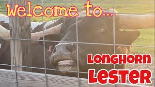 Welcome to LONGHORN Lester’s!