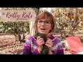 Knitting Bag review - Boulder CO Yarn Shop - Gathering Fiber...from where?