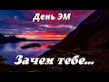 День ЭМ - Зачем тебе...