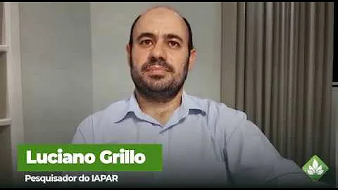 Depoimento Luciano Grillo