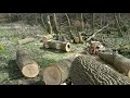 Stihl 500i / Windbruch / Mobiles Sägewerk / Can Am Outlander 1000 xt-p