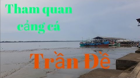 Tham quan cảng cá Trần Đề, tỉnh Sóc Trăng /SEN TRẮNG TV