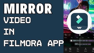 How to Mirror Video in Filmora App 2024?
