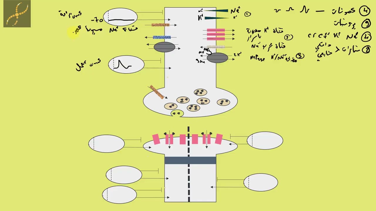 مراجعة شاملة برسم تخطيطي وظيفي