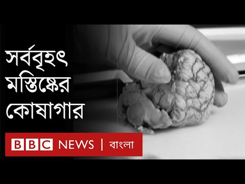 ভিডিও: প্রসঙ্গ কিভাবে মেমরি প্রভাবিত করে?