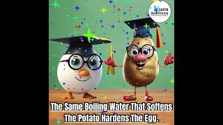 The Egg vs The Potato