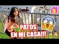 SE LLENA DE PATOS MI CASA! Y VIENE EL DECORADOR ♥ Cap 5 Poniendo Bonita la Casita - SandraCiresArt