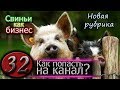 ОБМЕН ОПЫТОМ / КАК ПРИСЛАТЬ ВИДЕО