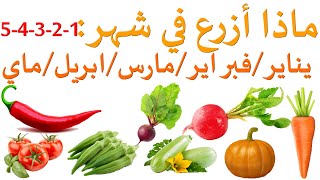 ماذا ازرع شهر  1 يناير ، 2 فبراير ، 3 مارس ، 4 ابريل ، 5 ماي