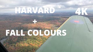 T-6 Harvard C-GBQB | Les couleurs de l'automne