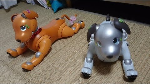 Sony Aibo robotic dog | smart dog