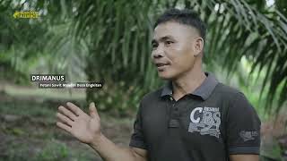 The Rainforest Alliance Support Initiative in West Kalimantan, Indonesia