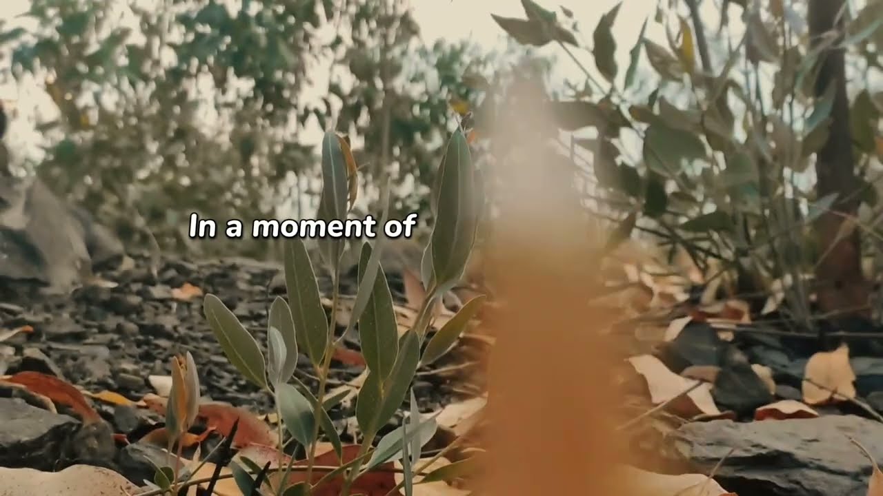 Scene 2