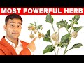 Fight Fatigue, Sleeplessness, Boost Energy, Improve Your Mood - Dr. Vivek joshi