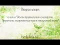 Траволечение и знахарство. Применение лекарственных трав в повседневной жизни.