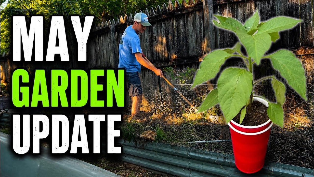 May Garden Update - YouTube