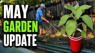 May Garden Update
