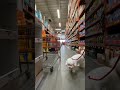 Leash training inside Home Depot! Nugget!