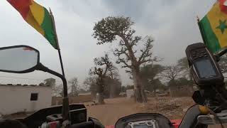 Sénégal 🇸🇳 Treck dans le Ferlo