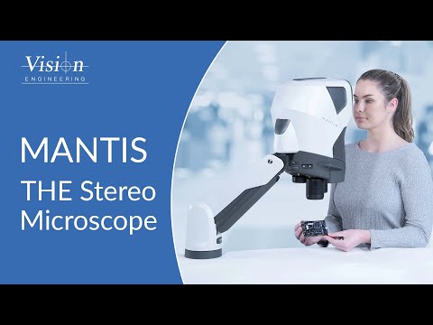 Unveiling Mantis -