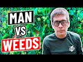 How to Fix a Lawn Full of WEEDS - DIY Weed Control