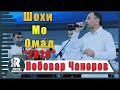 Нобовар Чаноров" Шохимо омад 2020 Nobovar Chanorov New 2020