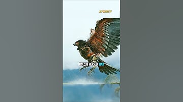 The saddest moment in Transformers: Rise of the Beasts #transformers #airazor