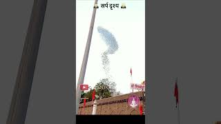 सर्प दृश्य सिद्धेश्वर मंदिर _ Shree Siddheshwar Temple Solapur #mahakal #mahakalstatus