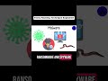 CyberAttacks Explained Phishing, Malware, Keyloggers How They Work & How to Stay Safe #cybersecurity