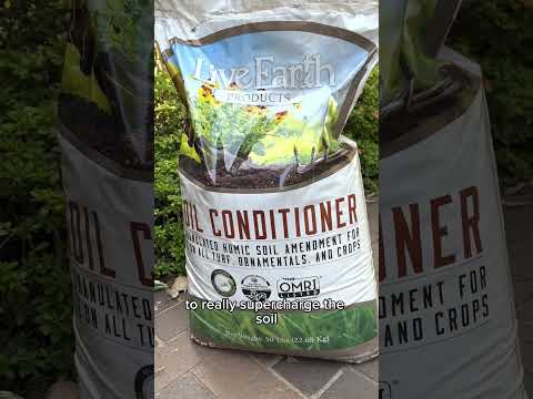 Vídeo: Plantes de tomàquet al compost: està bé compostar tomàquets?