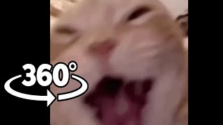 Cat laughing meme but its 360 degree