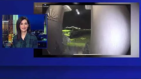 Missing Dog Returns Home and Rings Doorbell