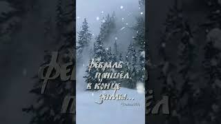 Здравствуй, ФЕВРАЛЬ! 🌲❄️⚘️