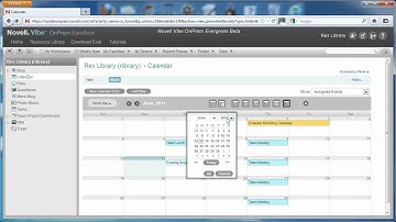 Vibe OnPrem Calendar Features
