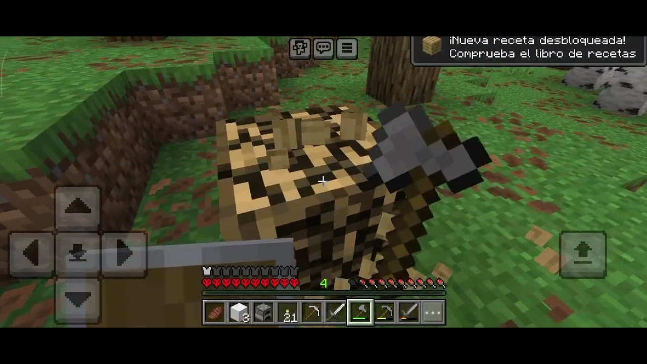 Jugamos con amigos 😃