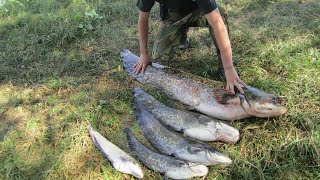 Поводки, крючки для ловли сома квоком. Изготовление.