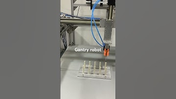 Gantry robot