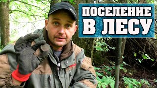 Что скрывает лес? Забытое поселение царских времён.