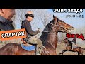 спартак Эмил акеден чыкты