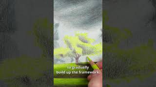 How to Draw a Tree... Art Tips #drawing #coloredpencil #prismacolor #coloredpencil #treedrawing