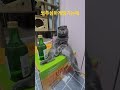 새우깡필요한애 ㅋ ㅋ
