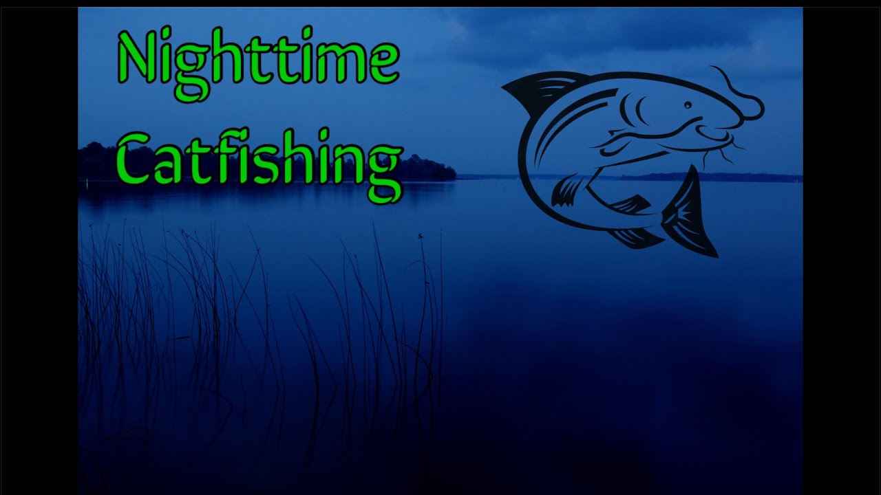 Nighttime Catfishing YouTube