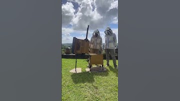 Can I use the Flow Super Lifter on a Langstroth hive?