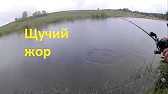 Рыбалка Наше Всё