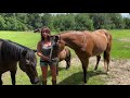 The Horse Talk Show Tv Welcome Trailer