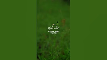 امن يجيب المضطر اذا دعاه |عبد الباسط عبد الصمد كروما شاشة سوداء قرآن كريم #كرومات_قرآن #اكسبلور