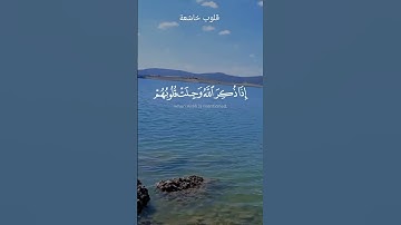وجلت قلوبهم… مشهد خاشع من الطبيعة مع ذكر الله 🌊💙 | قرآن كريم