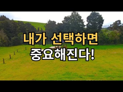 내가 선택하면 중요해 진다 | 내가 나를 낳는다 | 일지 이승헌의 365일 명상집