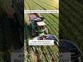 AravindharAgriculturalInstitute#AravindharAgriculture#AgricultureCollege#StudyAgriculture#Future